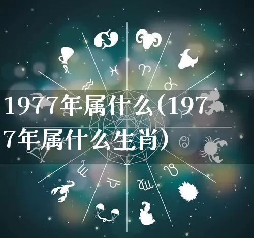 1977年属什么(1977年属什么生肖)_https://www.dao-sheng-yuan.com_道源国学_第1张