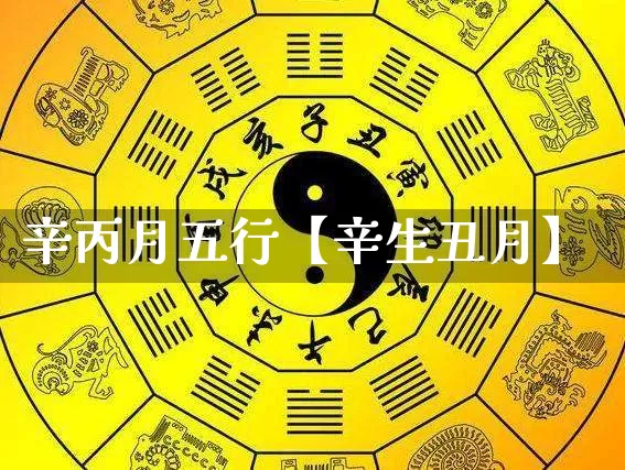辛丙月五行【辛生丑月】_https://www.dao-sheng-yuan.com_周公解梦_第1张