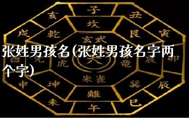 张姓男孩名(张姓男孩名字两个字)_https://www.dao-sheng-yuan.com_起名_第1张