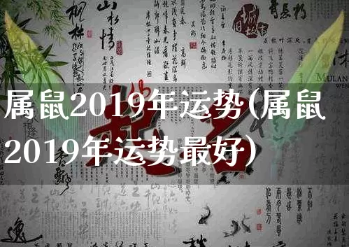 属鼠2019年运势(属鼠2019年运势最好)_https://www.dao-sheng-yuan.com_易经_第1张