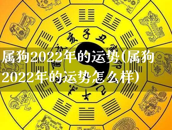 属狗2022年的运势(属狗2022年的运势怎么样)_八字_第1张_道圣缘 属狗2022年的运势(属狗2022年的运势怎么样)_https://www.dao-sheng-yuan.com_八字_第1张