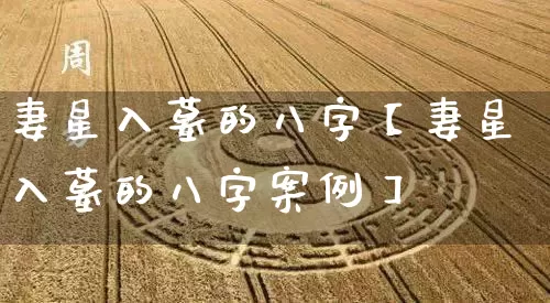妻星入墓的八字【妻星入墓的八字案例】_https://www.dao-sheng-yuan.com_起名_第1张