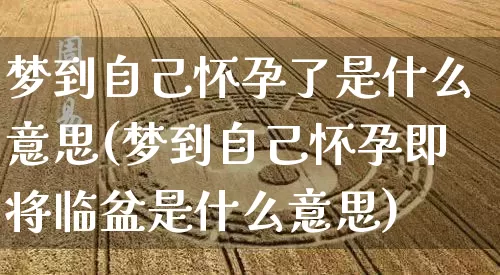 梦到自己怀孕了是什么意思(梦到自己怀孕即将临盆是什么意思)_https://www.dao-sheng-yuan.com_五行_第1张