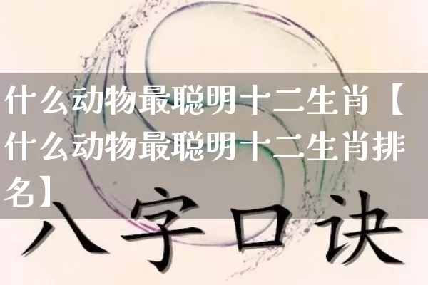 什么动物最聪明十二生肖【什么动物最聪明十二生肖排名】_https://www.dao-sheng-yuan.com_易经_第1张