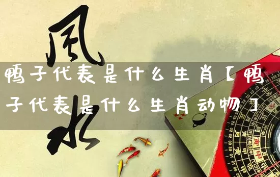 鸭子代表是什么生肖【鸭子代表是什么生肖动物】_https://www.dao-sheng-yuan.com_起名_第1张