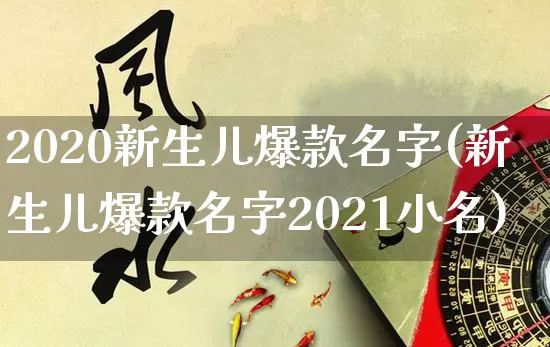 2020新生儿爆款名字(新生儿爆款名字2021小名)_https://www.dao-sheng-yuan.com_生肖属相_第1张