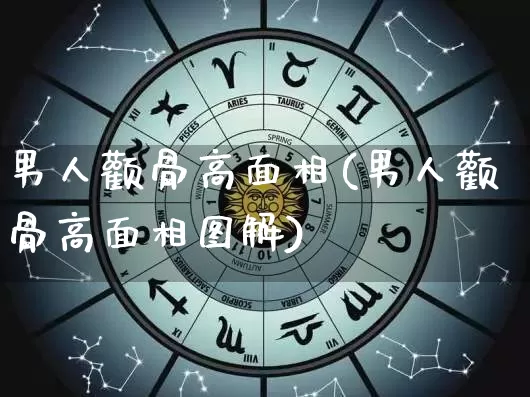 男人颧骨高面相(男人颧骨高面相图解)_https://www.dao-sheng-yuan.com_五行_第1张