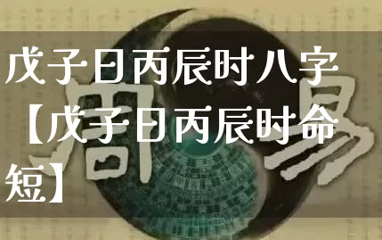戊子日丙辰时八字【戊子日丙辰时命短】_https://www.dao-sheng-yuan.com_风水_第1张