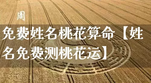 免费姓名桃花算命【姓名免费测桃花运】_https://www.dao-sheng-yuan.com_八字_第1张