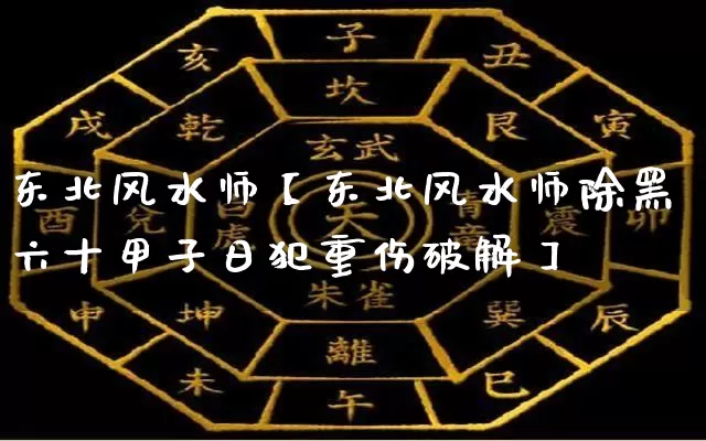 东北风水师【东北风水师除黑六十甲子日犯重伤破解】_https://www.dao-sheng-yuan.com_易经_第1张