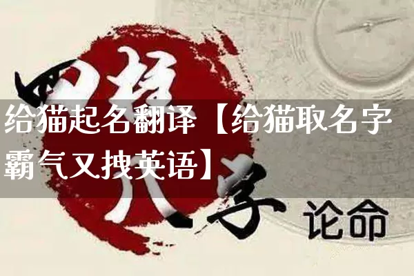 给猫起名翻译【给猫取名字霸气又拽英语】_https://www.dao-sheng-yuan.com_起名_第1张