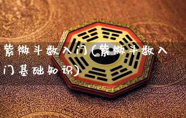 紫微斗数入门(紫微斗数入门基础知识)_https://www.dao-sheng-yuan.com_算命_第1张