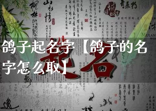 鸽子起名字【鸽子的名字怎么取】_https://www.dao-sheng-yuan.com_十二星座_第1张