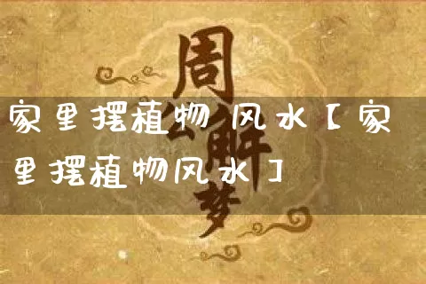 家里摆植物 风水【家里摆植物风水】_https://www.dao-sheng-yuan.com_算命_第1张