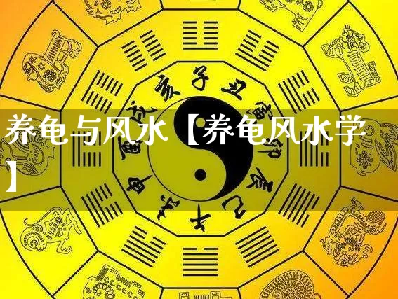 养龟与风水【养龟风水学】_https://www.dao-sheng-yuan.com_周公解梦_第1张