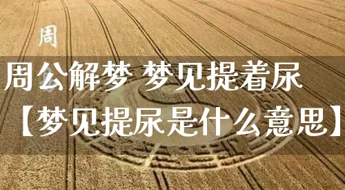 周公解梦 梦见提着尿【梦见提尿是什么意思】_https://www.dao-sheng-yuan.com_五行_第1张