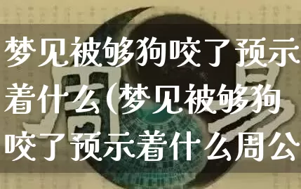 梦见被够狗咬了预示着什么(梦见被够狗咬了预示着什么周公)_https://www.dao-sheng-yuan.com_风水_第1张