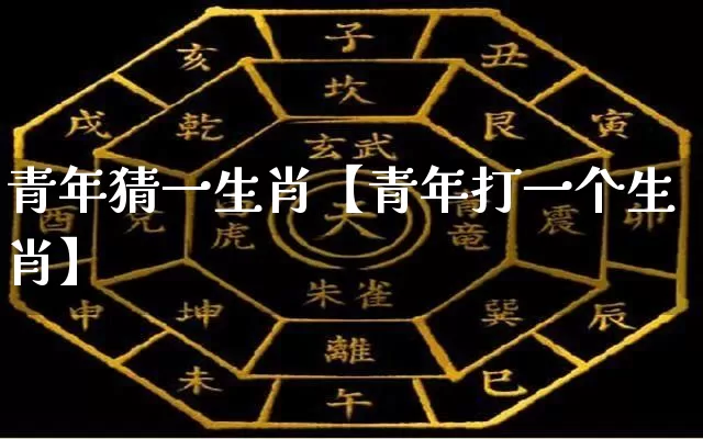 青年猜一生肖【青年打一个生肖】_https://www.dao-sheng-yuan.com_五行_第1张