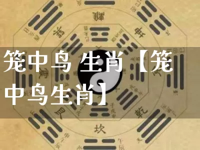 笼中鸟 生肖【笼中鸟生肖】_https://www.dao-sheng-yuan.com_起名_第1张