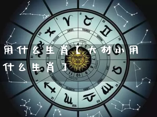 用什么生肖【大材小用什么生肖】_https://www.dao-sheng-yuan.com_五行_第1张