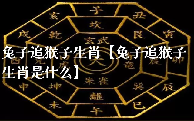 兔子追猴子生肖【兔子追猴子生肖是什么】_https://www.dao-sheng-yuan.com_八字_第1张