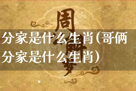分家是什么生肖(哥俩分家是什么生肖)_https://www.dao-sheng-yuan.com_易经_第1张