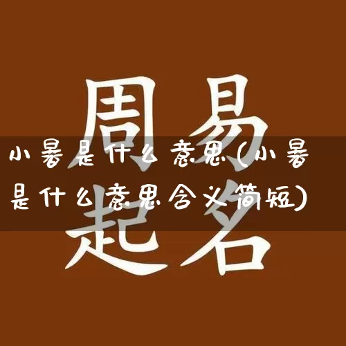 小暑是什么意思(小暑是什么意思含义简短)_https://www.dao-sheng-yuan.com_生肖属相_第1张