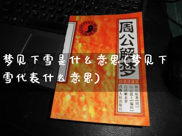 梦见下雪是什么意思(梦见下雪代表什么意思)_https://www.dao-sheng-yuan.com_生肖属相_第1张