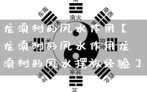 龙须树的风水作用【龙须树的风水作用龙须树的风水摆放经验】_https://www.dao-sheng-yuan.com_道源国学_第1张