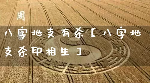 八字地支有杀【八字地支杀印相生】_https://www.dao-sheng-yuan.com_易经_第1张