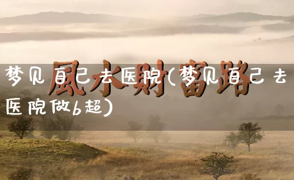 梦见自己去医院(梦见自己去医院做b超)_https://www.dao-sheng-yuan.com_十二星座_第1张