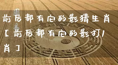 前后都有它的影猜生肖【前后都有它的影打1肖】_https://www.dao-sheng-yuan.com_易经_第1张
