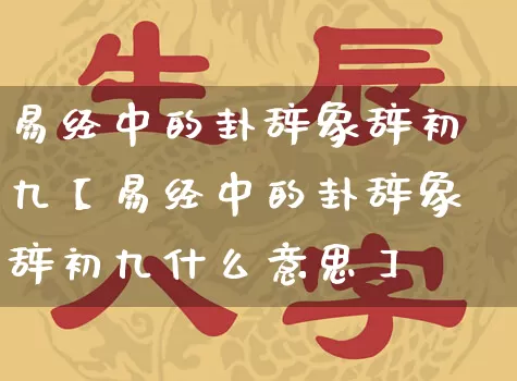 易经中的卦辞象辞初九【易经中的卦辞象辞初九什么意思】_https://www.dao-sheng-yuan.com_风水_第1张