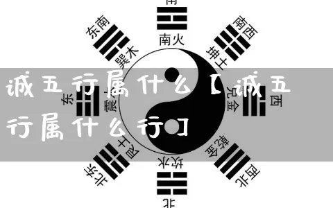 诚五行属什么【诚五行属什么行】_https://www.dao-sheng-yuan.com_风水_第1张