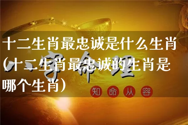 十二生肖最忠诚是什么生肖(十二生肖最忠诚的生肖是哪个生肖)_https://www.dao-sheng-yuan.com_十二星座_第1张