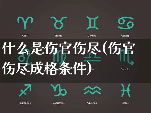 什么是伤官伤尽(伤官伤尽成格条件)_https://www.dao-sheng-yuan.com_周公解梦_第1张