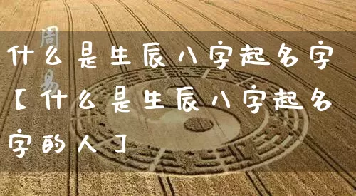 什么是生辰八字起名字【什么是生辰八字起名字的人】_https://www.dao-sheng-yuan.com_道源国学_第1张