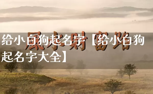 给小白狗起名字【给小白狗起名字大全】_起名_第1张_道圣缘 给小白狗起名字【给小白狗起名字大全】_https://www.dao-sheng-yuan.com_起名_第1张