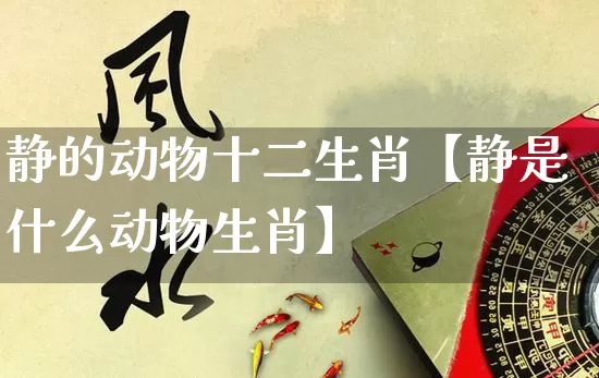 静的动物十二生肖【静是什么动物生肖】_https://www.dao-sheng-yuan.com_易经_第1张