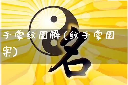 手掌纹图解(纹手掌图案)_https://www.dao-sheng-yuan.com_起名_第1张