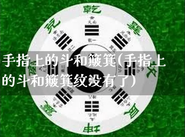 手指上的斗和簸箕(手指上的斗和簸箕纹没有了)_https://www.dao-sheng-yuan.com_易经_第1张