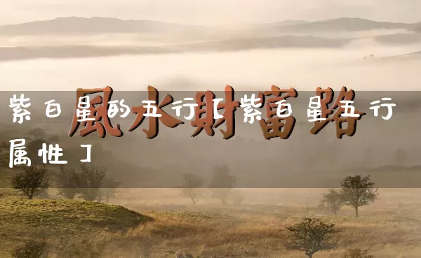 紫白星的五行【紫白星五行属性】_https://www.dao-sheng-yuan.com_五行_第1张