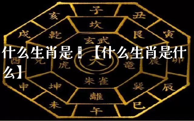 什么生肖是掯【什么生肖是什么】_https://www.dao-sheng-yuan.com_周公解梦_第1张