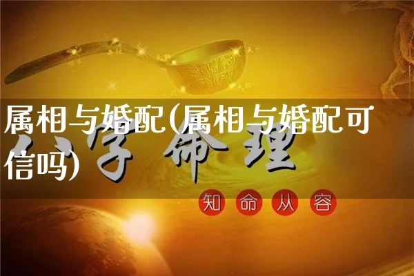 属相与婚配(属相与婚配可信吗)_https://www.dao-sheng-yuan.com_易经_第1张