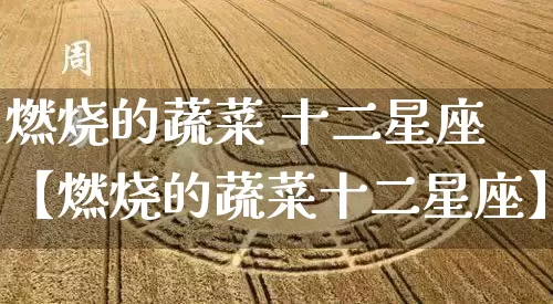 燃烧的蔬菜 十二星座【燃烧的蔬菜十二星座】_https://www.dao-sheng-yuan.com_算命_第1张