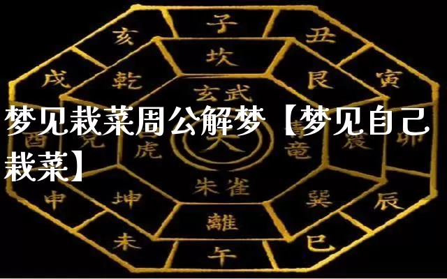 梦见栽菜周公解梦【梦见自己栽菜】_https://www.dao-sheng-yuan.com_起名_第1张