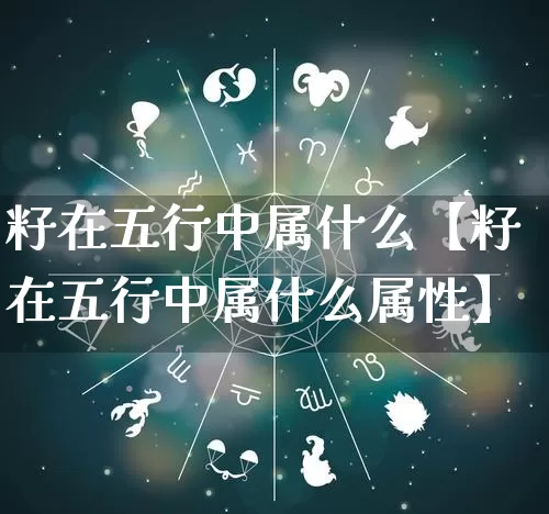 籽在五行中属什么【籽在五行中属什么属性】_https://www.dao-sheng-yuan.com_道源国学_第1张