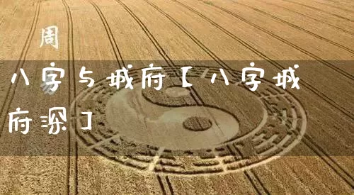 八字与城府【八字城府深】_https://www.dao-sheng-yuan.com_算命_第1张