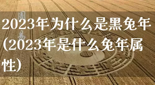 2023年为什么是黑兔年(2023年是什么兔年属性)_https://www.dao-sheng-yuan.com_风水_第1张