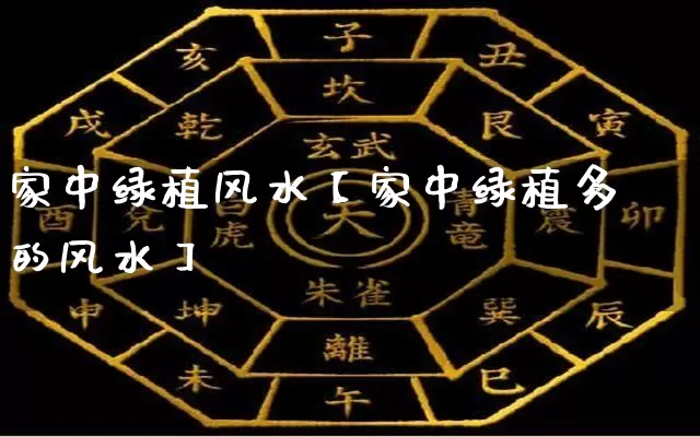 家中绿植风水【家中绿植多的风水】_https://www.dao-sheng-yuan.com_易经_第1张